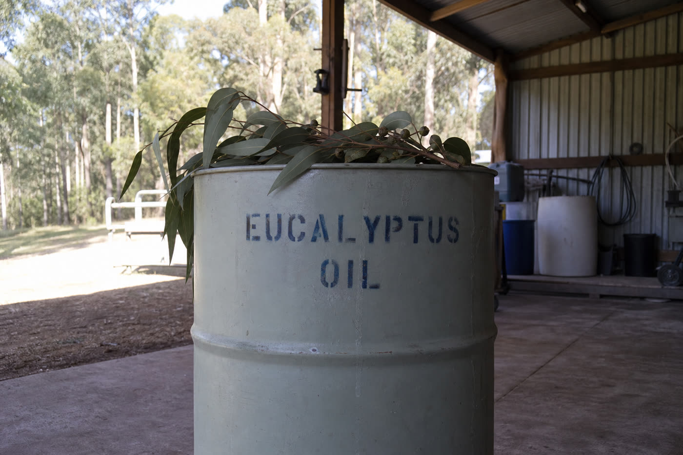 Eucalyptus Oil packed for despatch